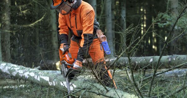 Postura si pozitia corecta drujba