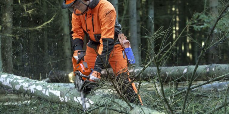 Postura si pozitia corecta drujba