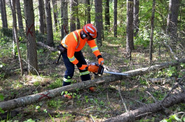 Utilizarea drujbelor sfaturi